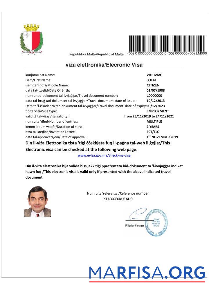 Downloadable Malta e visa real example